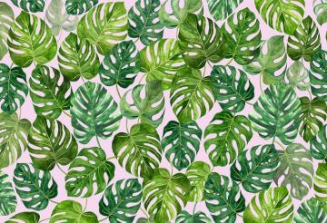Monstera Wallpaper Tropical Jungle Leaf Wallcovering Wallpapered