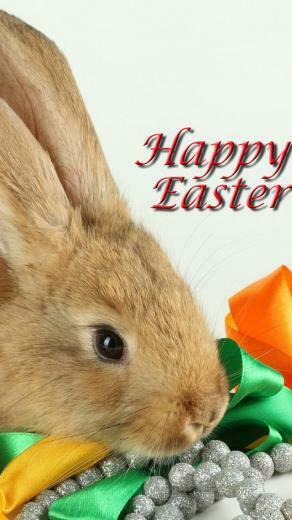 Lovely Easter Bunnies iPhone HD Wallpaper