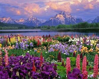 Spring Mountain Landscape HD Desktop Wallpaper