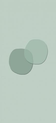 Sage Green Aesthetic Wallpaper Paint Idea