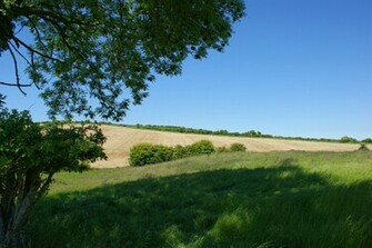 Country Field Photos Wallpaper Desktop Background