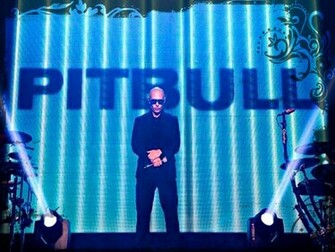 Pitbull Rapper Wallpaper
