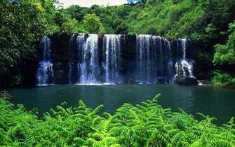 Forest Waterfall Wallpaper