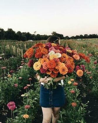 Aesthetic HD iPhone Wallpaper Flowers In Flower