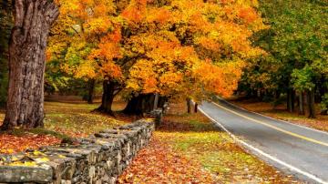 The Design Lover S Guide To Loveliest Northeast Road Trips