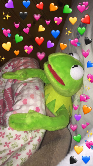 Funny Kermit Lying On The Bed Picture Wallpaper