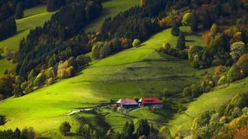 Germany Black Forest Fields Forests Wallpaper