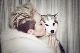 Miley Cyrus Desktop Wallpaper Complete With A Sweet Puppy