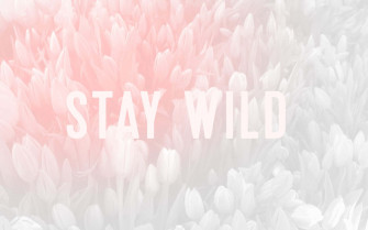 Exploring Colorful Possibilities Wallpaper