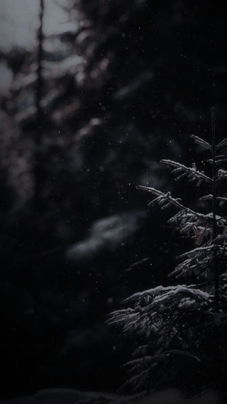 Evgenya On Nature iPhone Wallpaper Winter