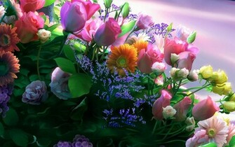 Desktop Wallpaper Windows Flowers Background