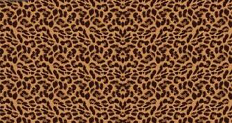 Leopard Print Background Evolutions