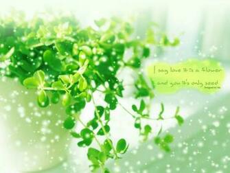 Clover Pictures Wallpaper Desktop HD