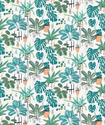 House Plants Bright Bold Botanical Wallpaper Milton King