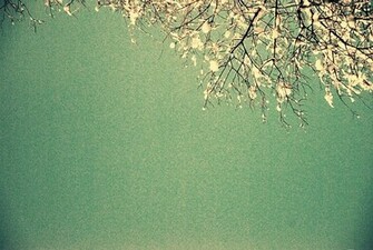 iPhone Wallpaper Google Green Desktop Mac