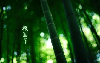 Green Bamboo Wallpaper