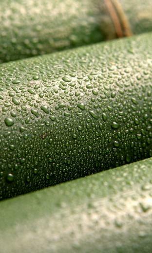 Wallpaper Blackberry