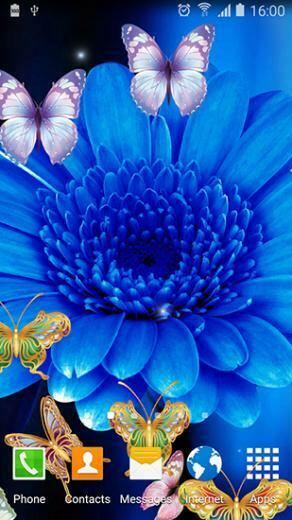 Cute Butterfly Live Wallpaper Screenshots How Does It Look
