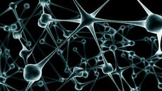 Biology Nerves Neurons Synapse Best Widescreen Background Awesome HD