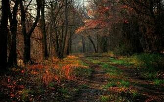 Wallpaper Autumn Desktop