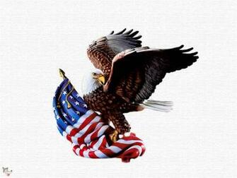 Eagle Usa High Quality Wallpaper Best HD