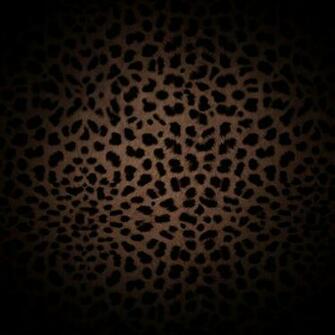 Animal Print Wallpaper Leopardo Colores Jpg
