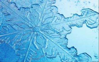 Snowflake Wallpaper