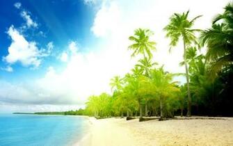 Palm Beach Desktop Wallpaper