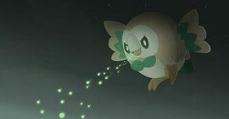 Rowlet Pok Mon HD Wallpaper Background Image