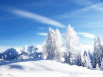Snowy Landscape Best Wallpaper