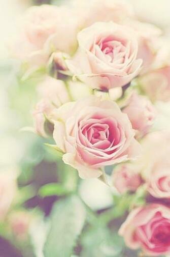 Vintage Floral iPhone Wallpaper