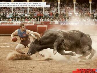 Bull Fighting Videos