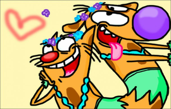 Catdog Image HD Wallpaper And Background Photos