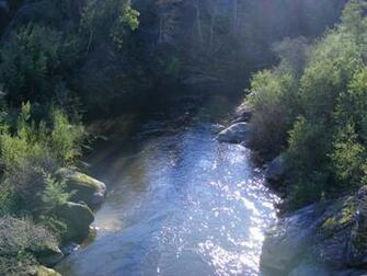 Sunny River Desktop Pc And Mac Wallpaper