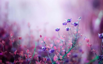 Purple Aesthetic Laptop Background Wallpaper