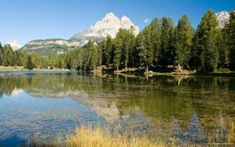 Nature Summer Wallpaper For Desktop Background HD