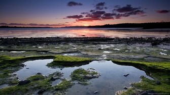 Submit Use Picky Wallpaper Rss