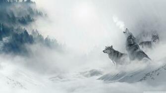 Wolf Howling 4k HD Desktop Wallpaper For Ultra Tv Wide
