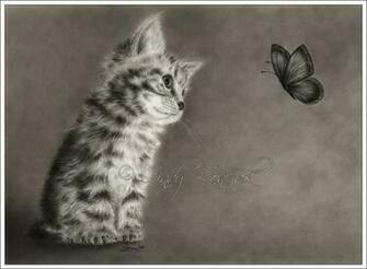 Cats Butterfly Wallpaper Animals Artwork