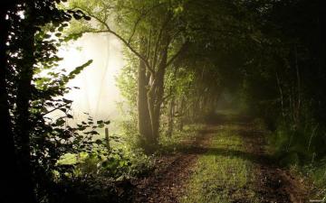 Spring Morning Wallpaper On