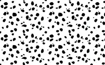 Dalmatian Background On