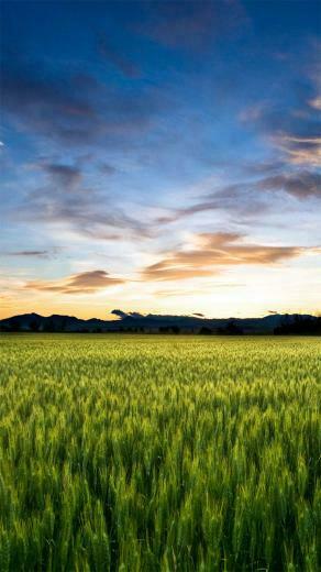 Xperia Z5 Wallpaper Similar Results Search