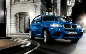 Bmw X5 Sport Image