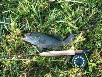 Sport Fishing Ken Schumacher