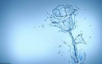Water Flower Widescreen Wallpaper Desktop