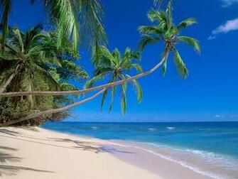 Hq Kadavu Island Fiji Wallpaper