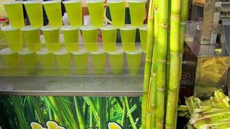Sugarcane Wallpaper