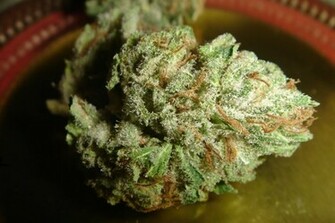 Super Dank Weed High Life