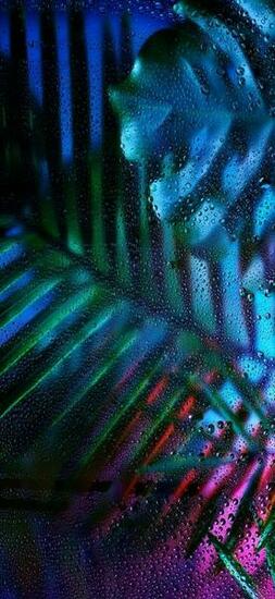 New Cool iPhone X Wallpaper Background To Freshen