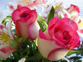 Billupsforcongress Beautiful Flowers HD Photos Articles